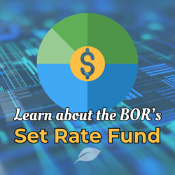 Set Rate Fund 2024 - square